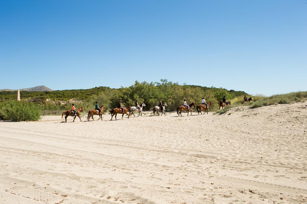 Agroturismo Can Pere Rei ソン・セッラ・デ・マリーナ エクステリア 写真
